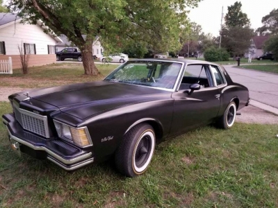 1979 Chevrolet Monte Carlo for sale