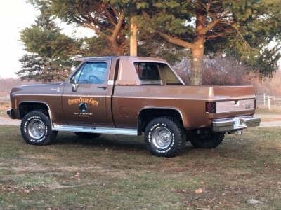 1979 Chevrolet Silverado for sale