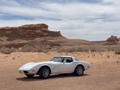 1979 Chevrolet Corvette for sale