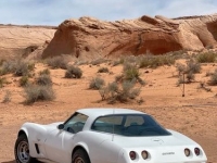 1979 Chevrolet Corvette for sale in Michigan (ID-89553)