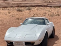 1979 Chevrolet Corvette for sale in Michigan (ID-89553)