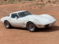 1979 Chevrolet Corvette for sale in Michigan (ID-89553)