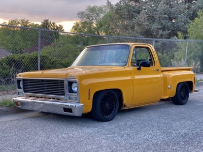 1979 Chevrolet C10 for sale