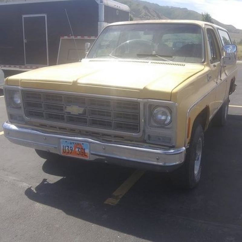 1979 Chevrolet Blazer for sale in Michigan (ID-90080) 1979 Chevrolet Blazer for sale in Michigan (ID-90080)