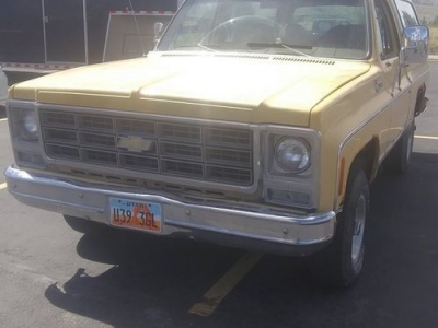 1979 Chevrolet Blazer for sale