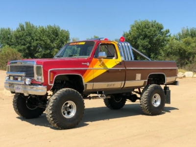 1979 Chevrolet Silverado for sale