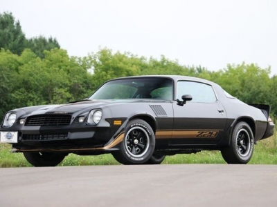 1979 Chevrolet Camaro for sale