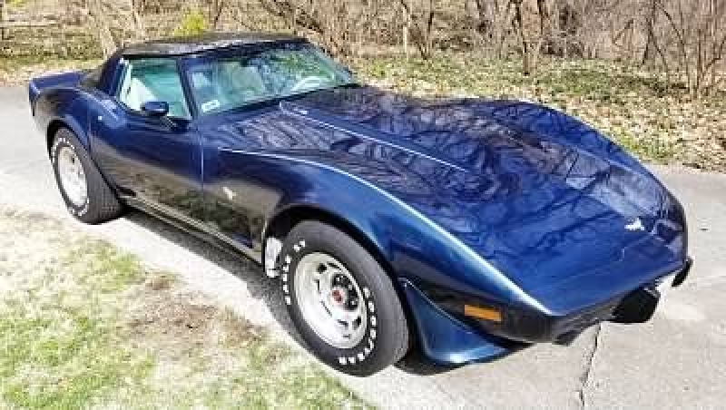 1979 Chevrolet Corvette for sale in Michigan (ID-91807)