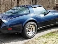 1979 Chevrolet Corvette for sale in Michigan (ID-91807)