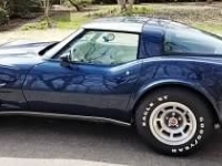 1979 Chevrolet Corvette for sale in Michigan (ID-91807)