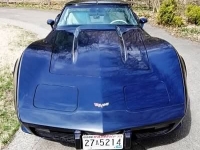 1979 Chevrolet Corvette for sale in Michigan (ID-91807)
