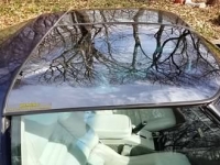 1979 Chevrolet Corvette for sale in Michigan (ID-91807)