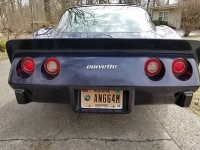 1979 Chevrolet Corvette for sale in Michigan (ID-91807)