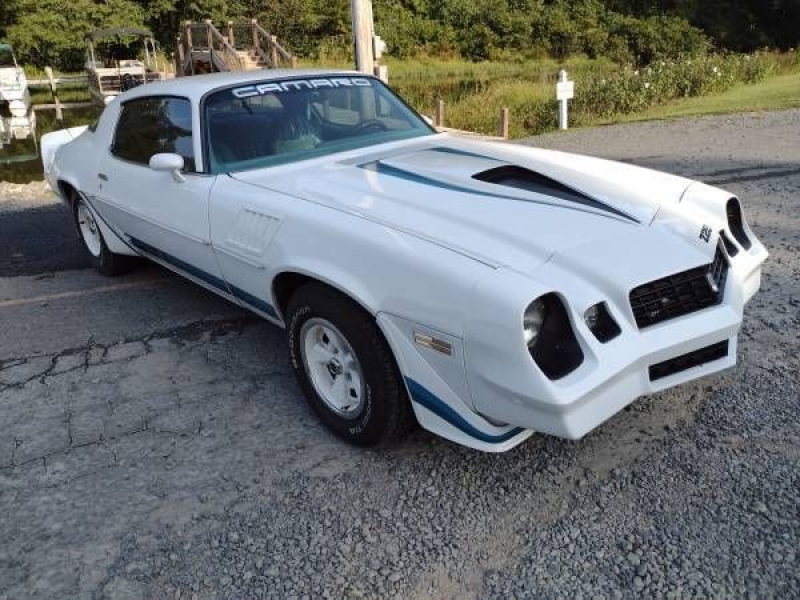 1979 Chevrolet Camaro for sale in Michigan (ID-93436) 1979 Chevrolet Camaro for sale in Michigan (ID-93436)
