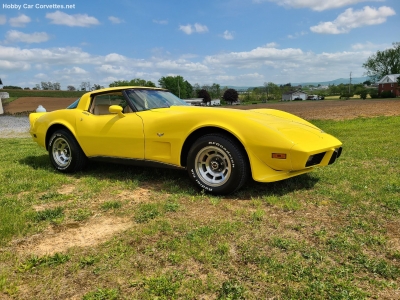 1979 Chevrolet Corvette for sale 1979 Chevrolet Corvette for sale