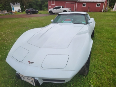 1979 Chevrolet Corvette for sale