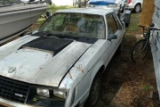 1979 Ford Mustang for sale