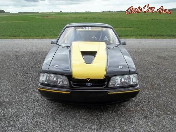 1979 Ford Mustang for sale in Michigan (ID-13489) 1979 Ford Mustang for sale in Michigan (ID-13489)