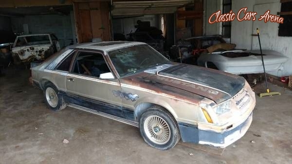 1979 Ford Mustang for sale in Michigan (ID-20984)