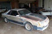 1979 Ford Mustang for sale