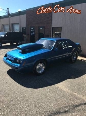 1979 Ford Mustang for sale in Michigan (ID-27661)