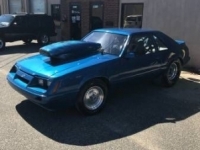 1979 Ford Mustang for sale in Michigan (ID-27661)