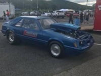 1979 Ford Mustang for sale in Michigan (ID-27661)
