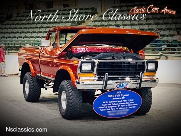 1979 Ford Pickup for sale in Mundelein, Illinois (ID-41027)