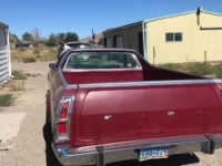 1979 Ford Ranchero for sale in Nevada (ID-43344)