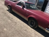 1979 Ford Ranchero for sale in Nevada (ID-43344)