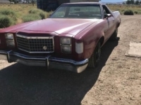 1979 Ford Ranchero for sale in Nevada (ID-43344)