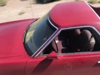 1979 Ford Ranchero for sale in Nevada (ID-43344)