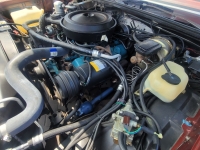 1979 GMC Caballero for sale in Torrance, California (ID-133197)