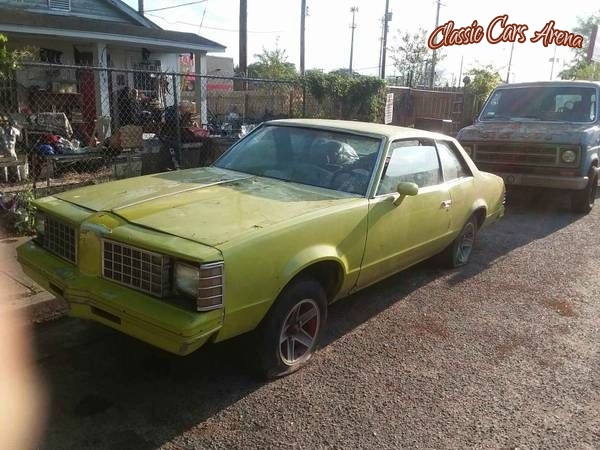 1979 Pontiac LeMans for sale in Michigan (ID-38996)