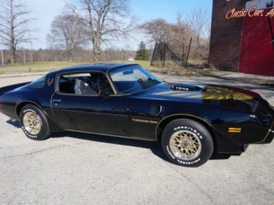 1979 Pontiac Firebird for sale
