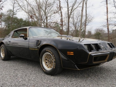 1979 Pontiac Trans Am for sale