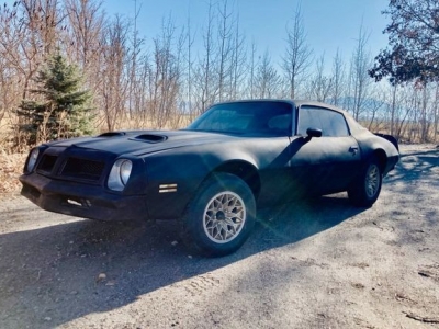 1979 Pontiac Firebird for sale