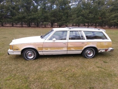 1979 Pontiac LeMans for sale