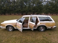 1979 Pontiac LeMans for sale in Riverhead, New York (ID-88023)