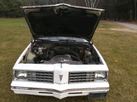 1979 Pontiac LeMans for sale in Riverhead, New York (ID-88023)