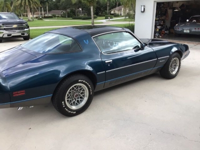 1979 Pontiac Firebird for sale