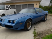 1979 Pontiac Trans Am for sale in Michigan (ID-92585)