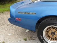 1979 Pontiac Trans Am for sale in Michigan (ID-92585)
