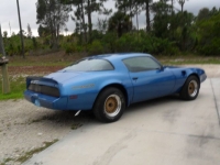1979 Pontiac Trans Am for sale in Michigan (ID-92585)