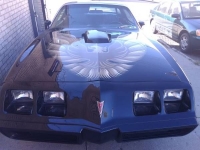 1979 Pontiac Trans Am for sale in Michigan (ID-92748)