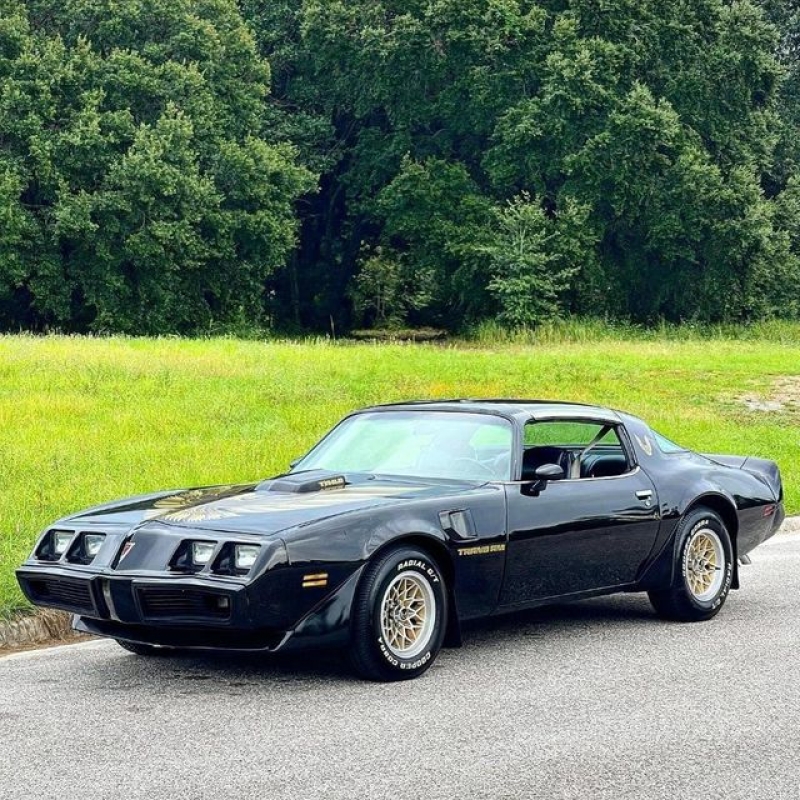 1979 Pontiac Trans Am for sale in Riverhead, New York (ID-92783)