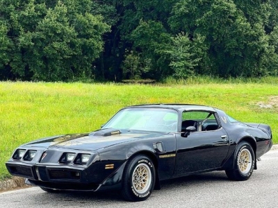 1979 Pontiac Trans Am for sale