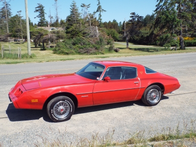 1979 Pontiac Firebird for sale 1979 Pontiac Firebird for sale