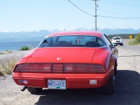1979 Pontiac Firebird for sale in Courtenay, British Columbia (ID-116987)