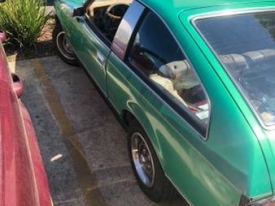 1979 Toyota Celica for sale